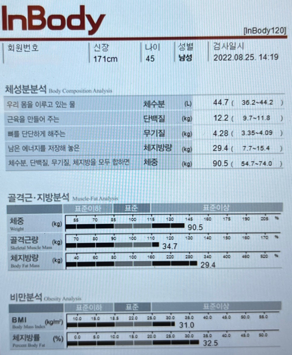 로하핏스튜디오 이미지