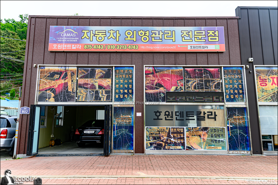 호원덴트칼라 이미지