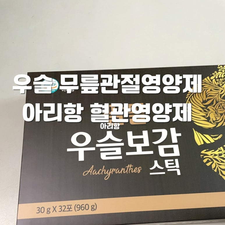 아리항 이미지