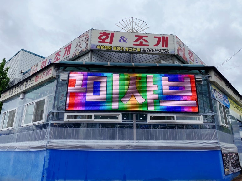 회앤조개 이미지