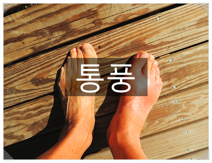 통푸 이미지