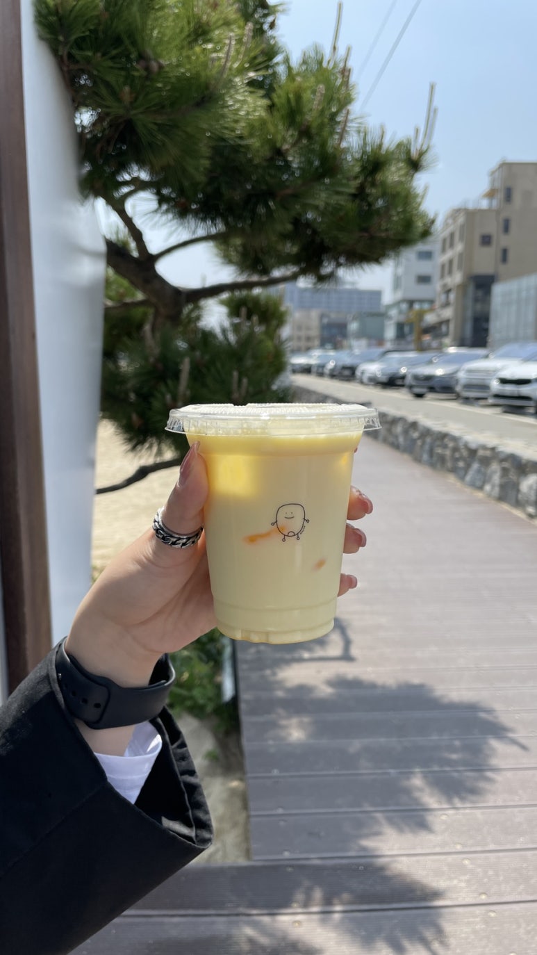 비비플로 이미지