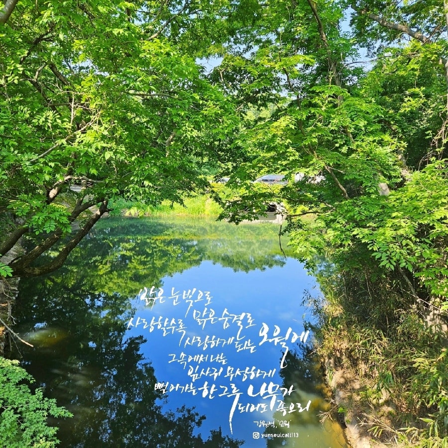 맑은나래 이미지