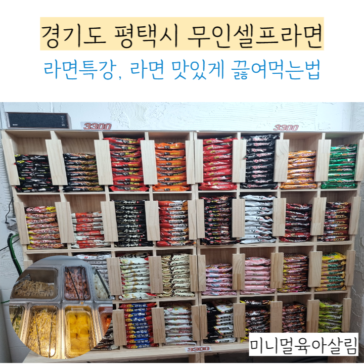 라면특강 이미지