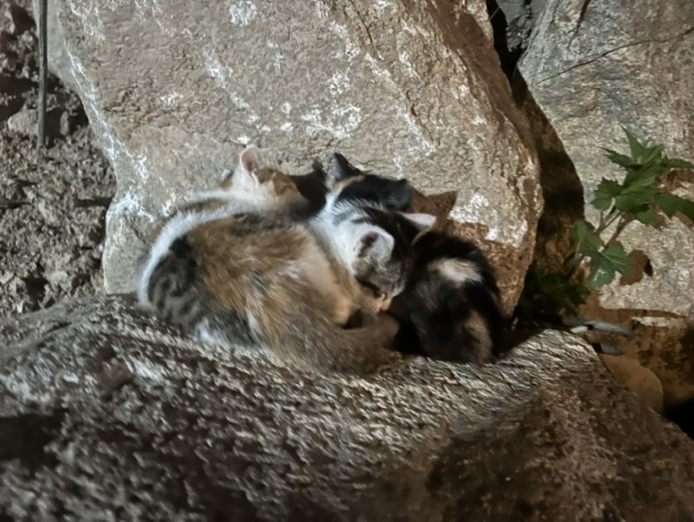 산정호수글램핑 이미지
