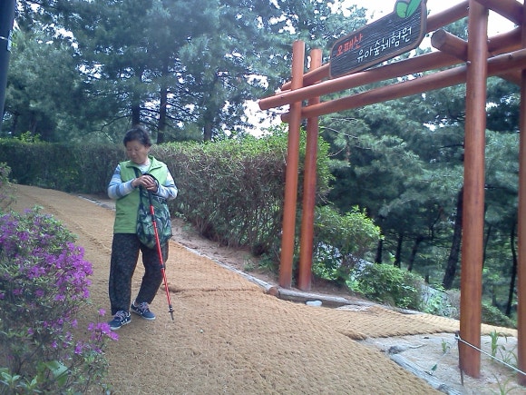 오패산 유아숲체험원 이미지