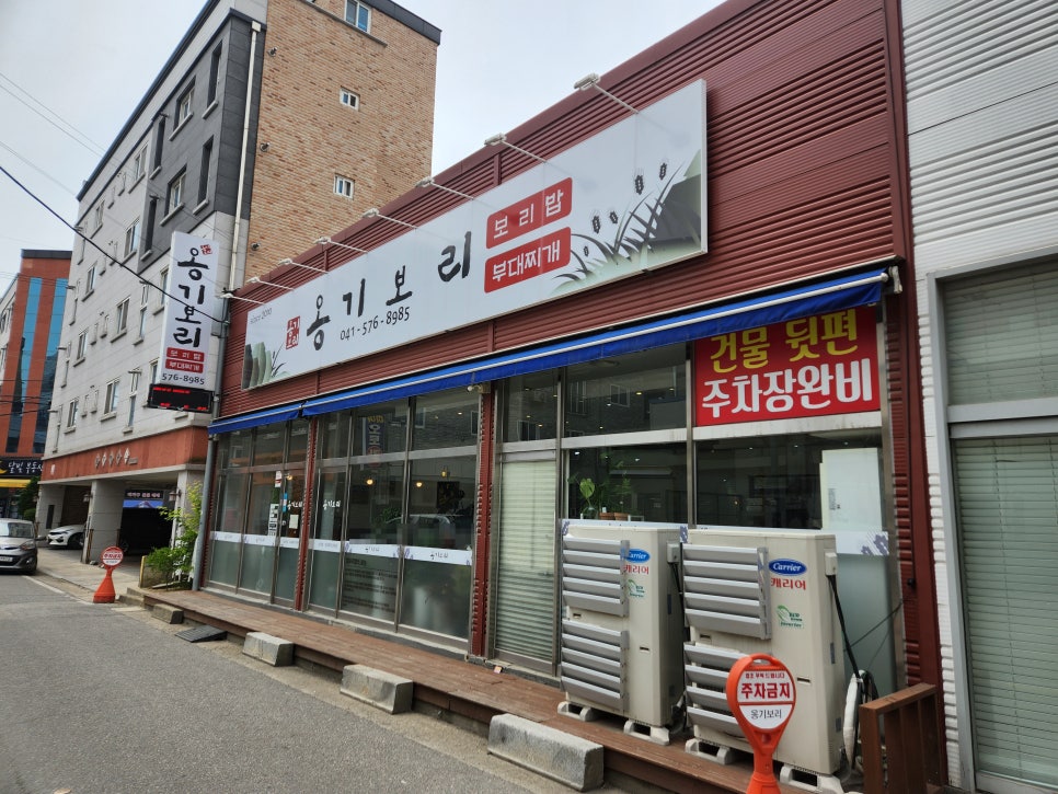 옹기보리 이미지