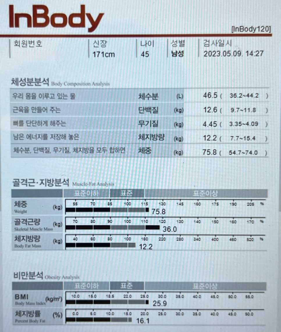 로하핏스튜디오 이미지
