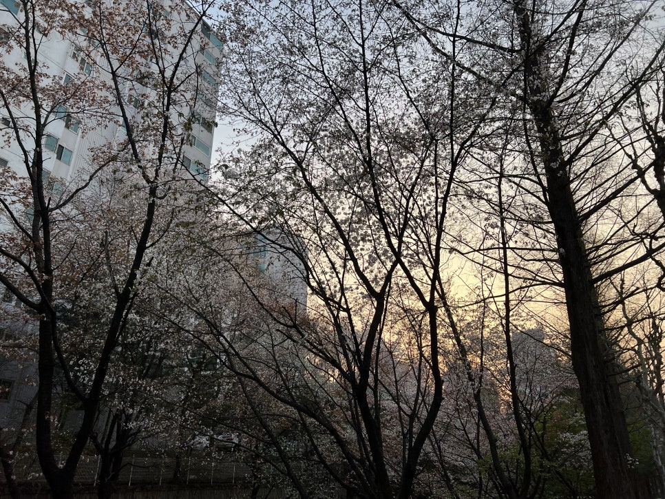 라화방 사진 6