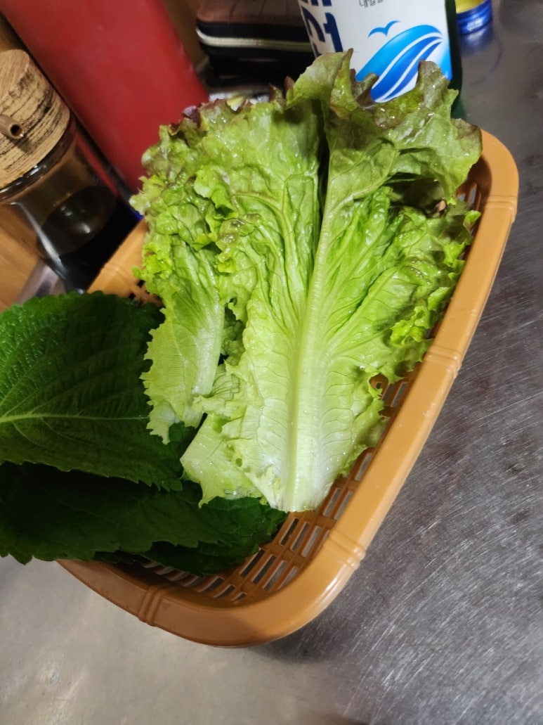 산오징어바다 이미지