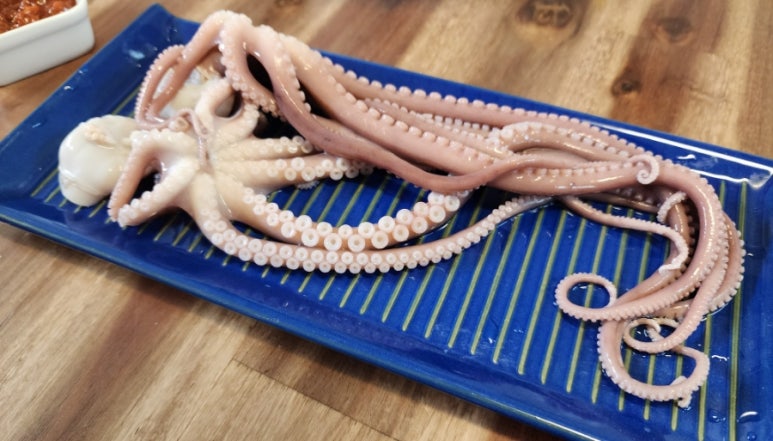 오렌지수산 이미지
