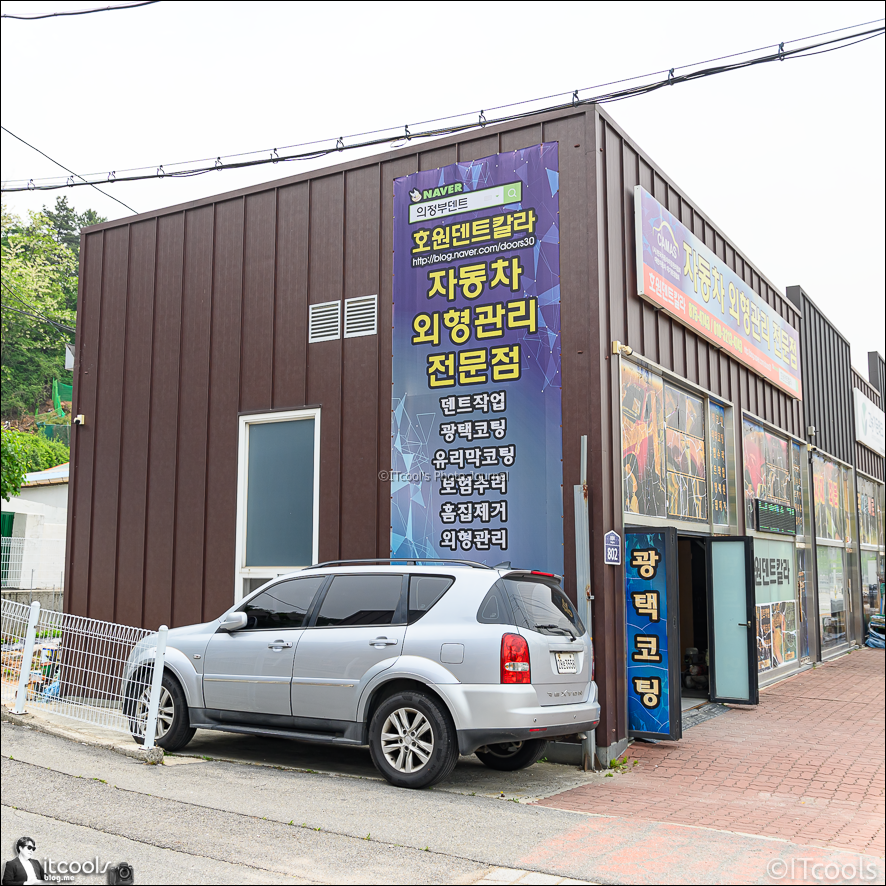 호원덴트칼라 이미지