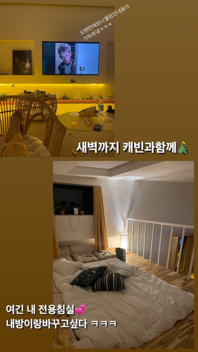 스테이소야 이미지