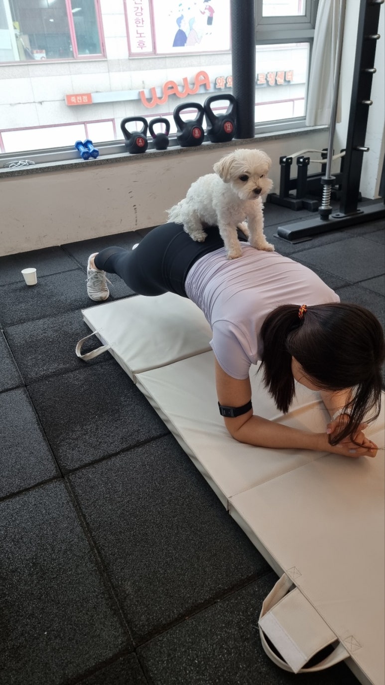 더뺌 이미지