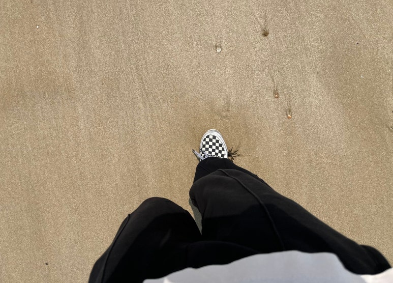 금일해당화해변 이미지