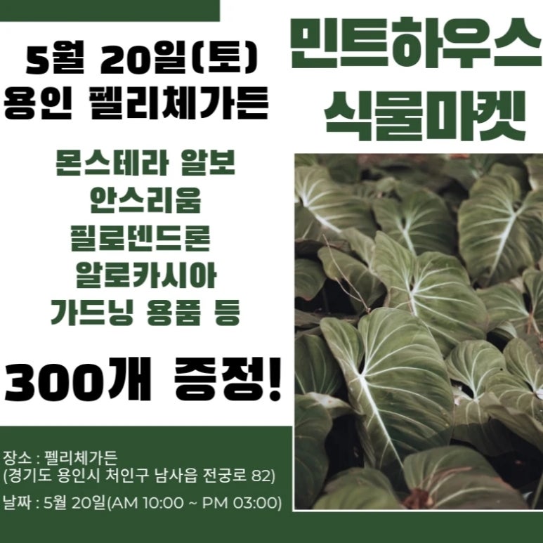 하우스마켓 이미지