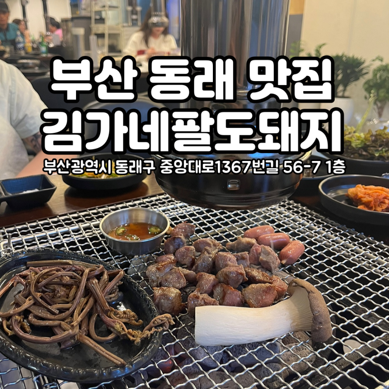 김가네팔도돼지 이미지