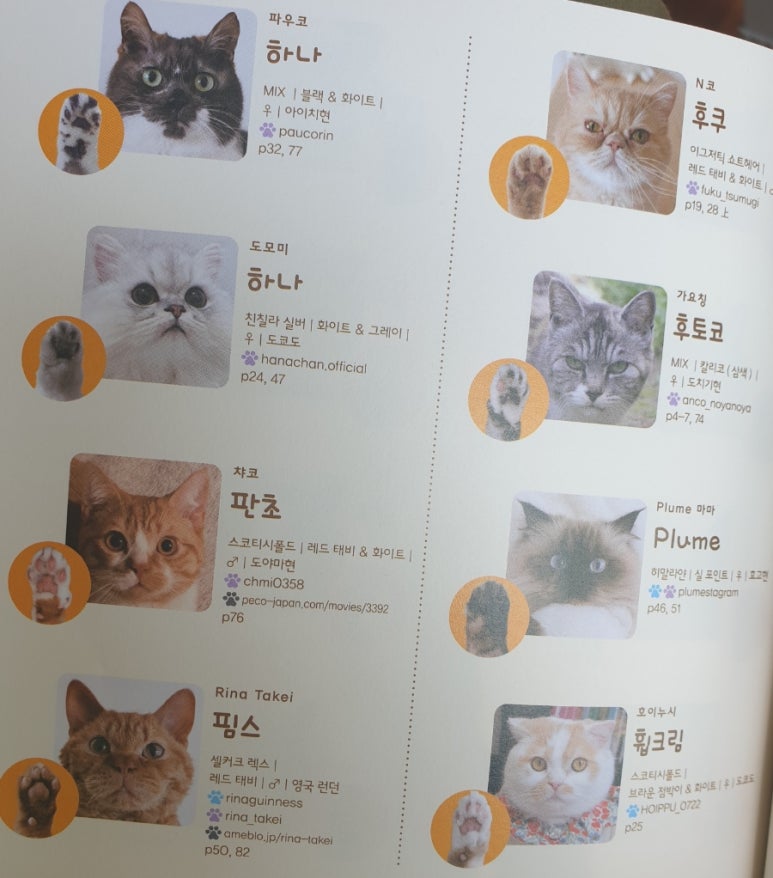 파우코 이미지