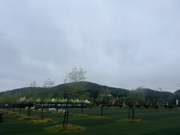 새싹바지락칼국수 이미지