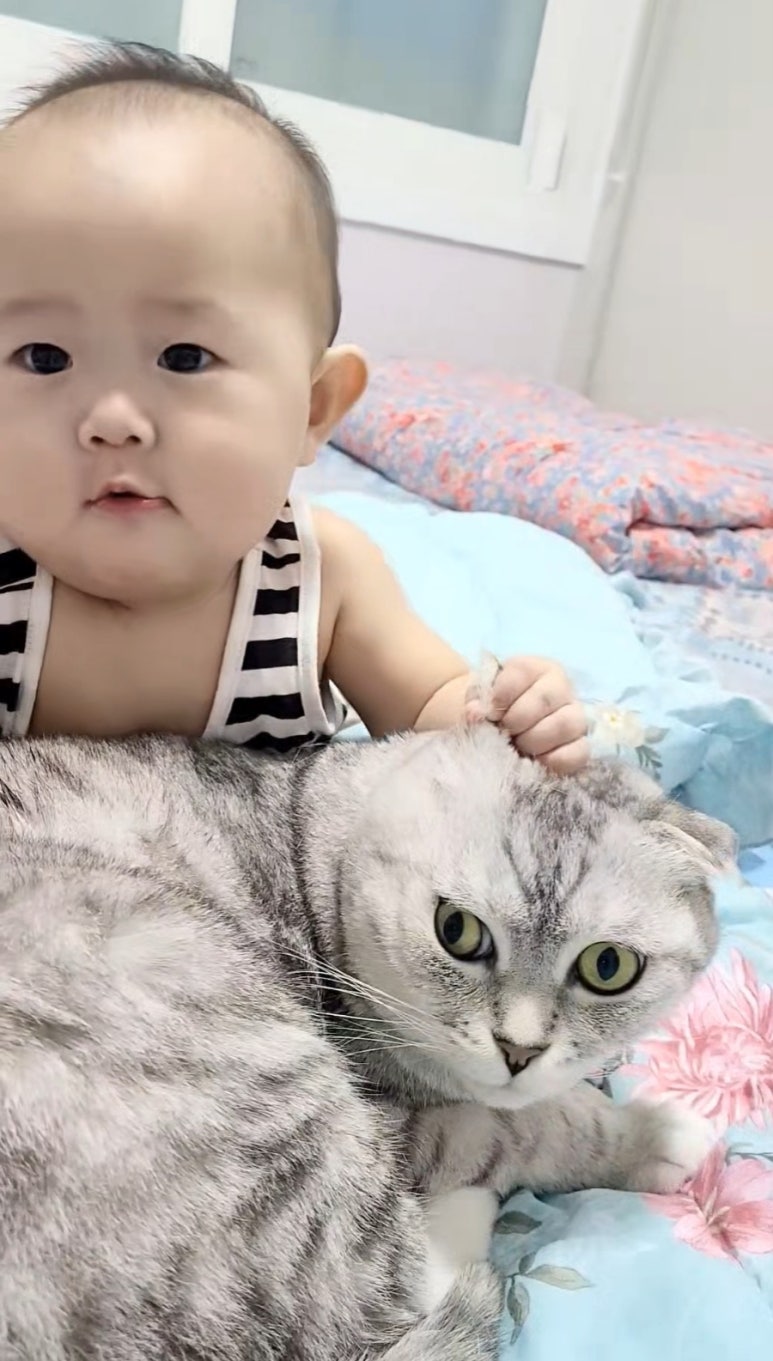 핑키스웨어 이미지