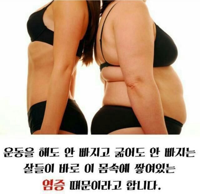 365점핑다이어트 이미지