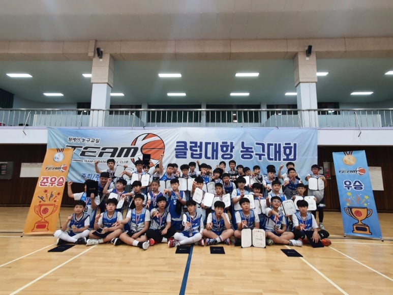 팀케이 이미지