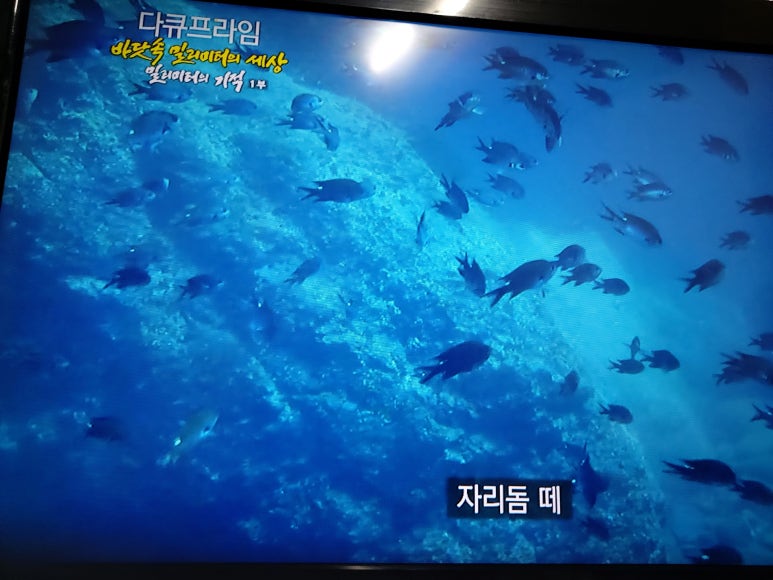 홍*섭 이미지