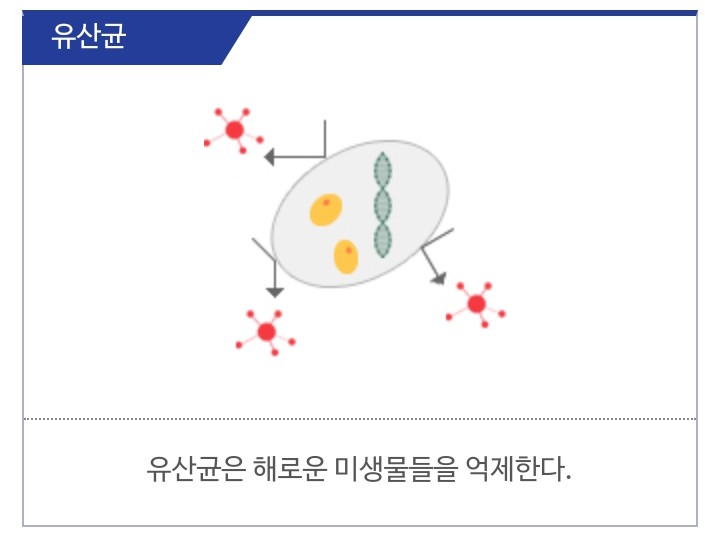 보은식품 이미지