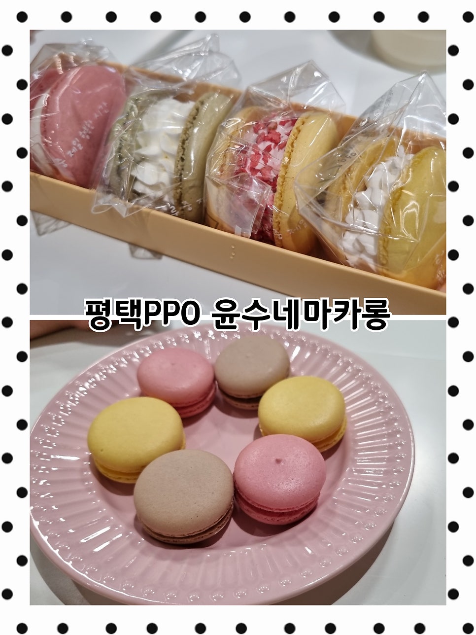 윤수네마카롱 이미지