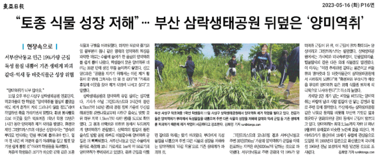 정원수도건설 이미지