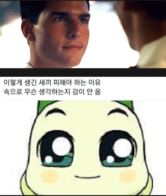 피자선생 이미지