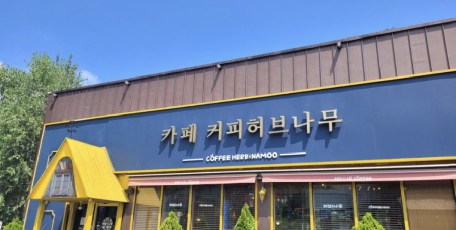 커피허브나무 이미지