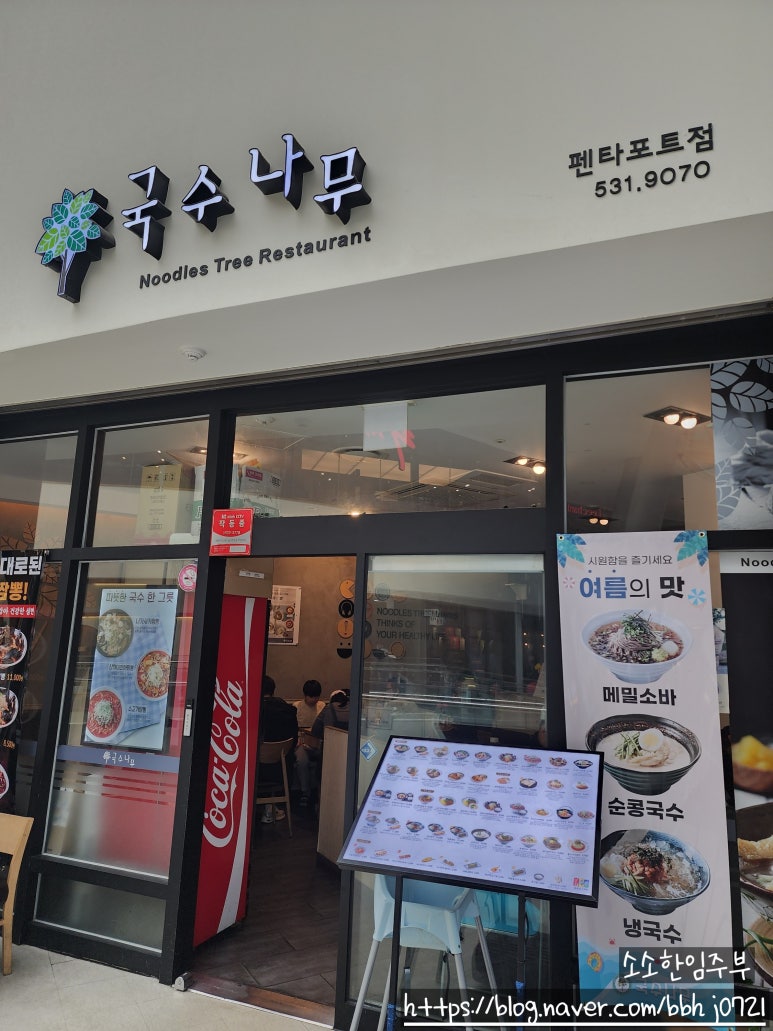 펜타포트국수나무 이미지