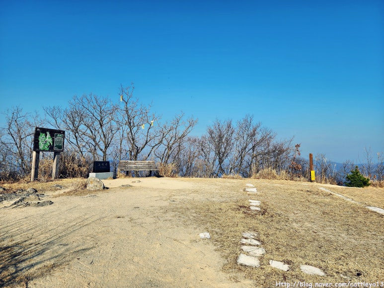 고달산 정상 이미지