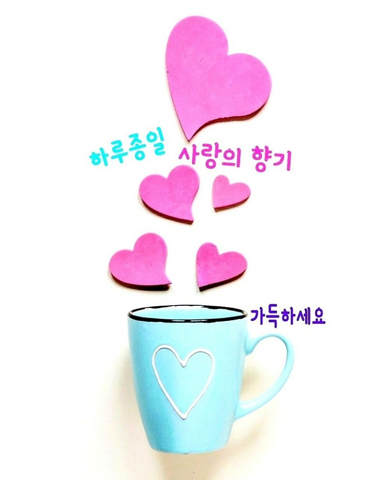 빨래박사 이미지