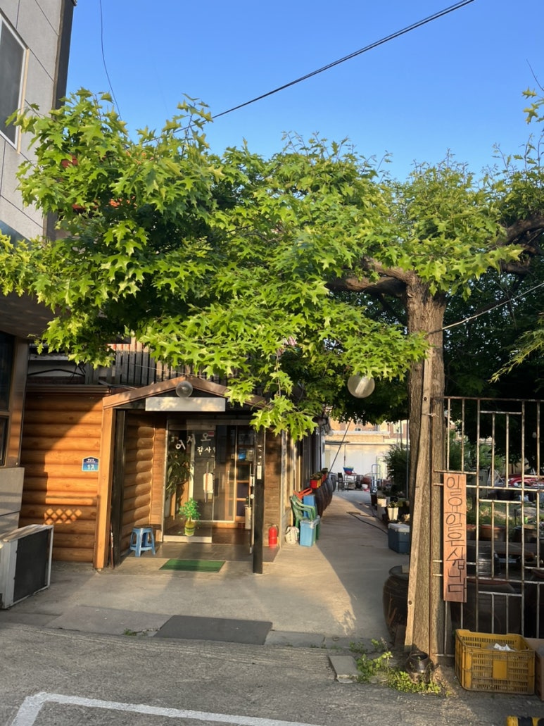 마당소머리 이미지