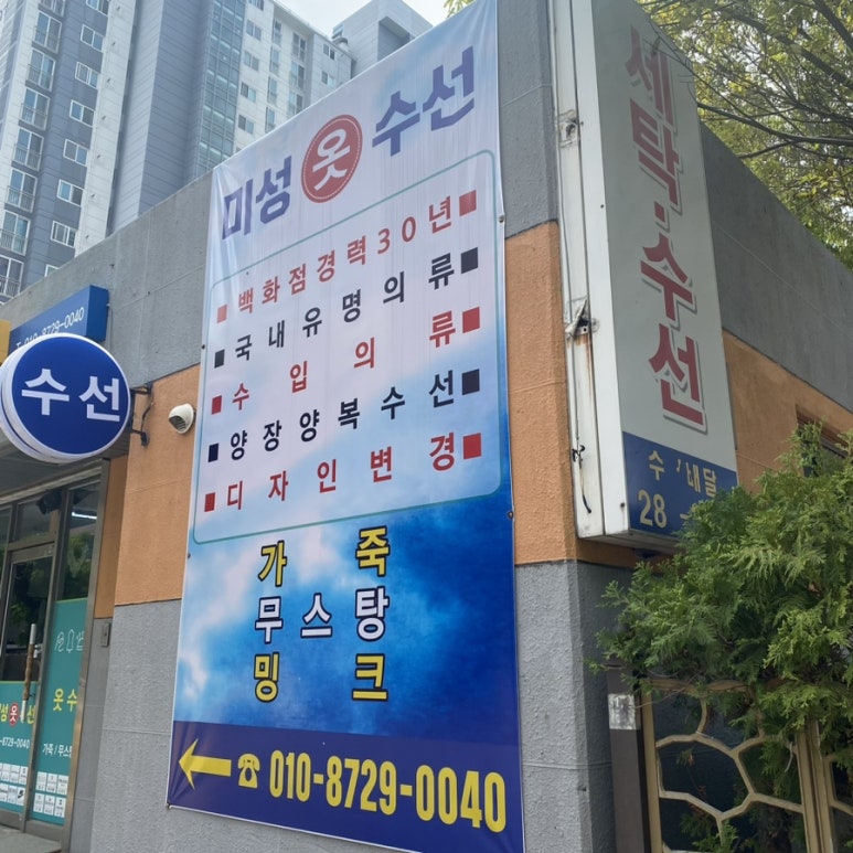 미성수선 이미지
