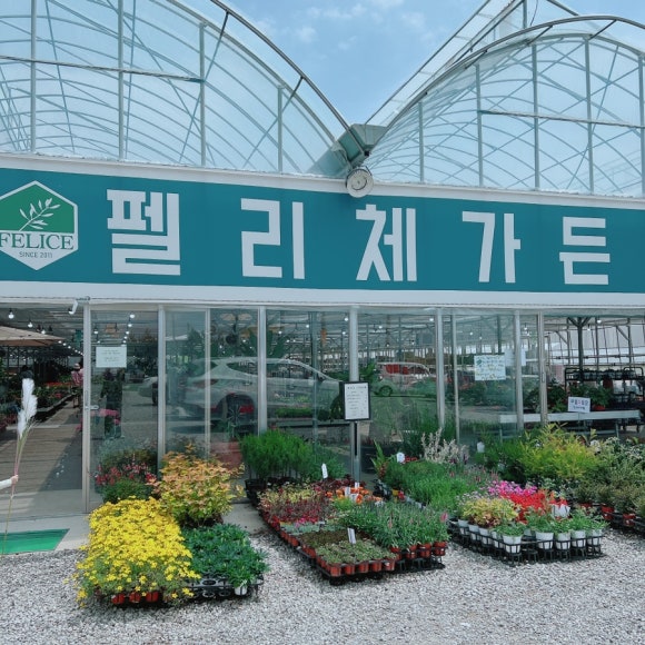 죽전화훼 이미지