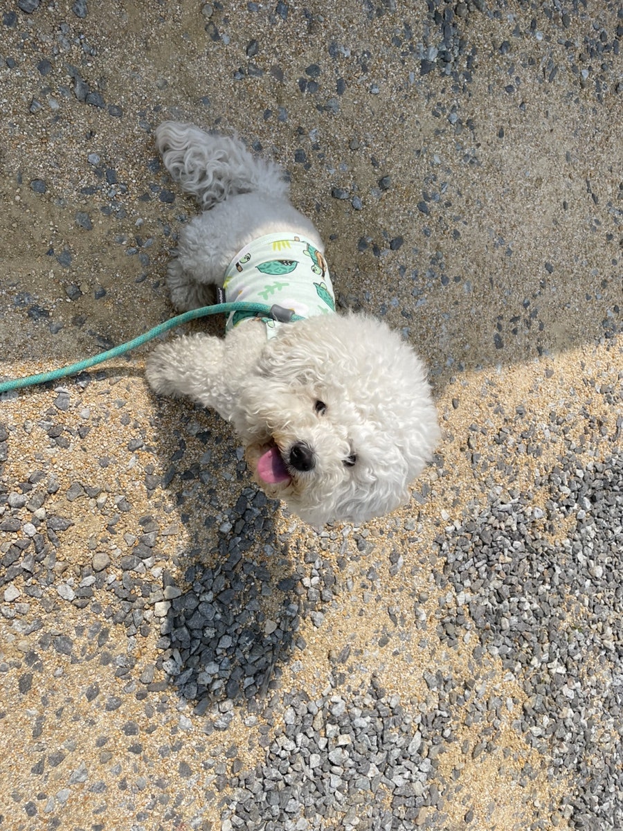춘살롱 이미지