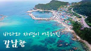 라이브일출 이미지