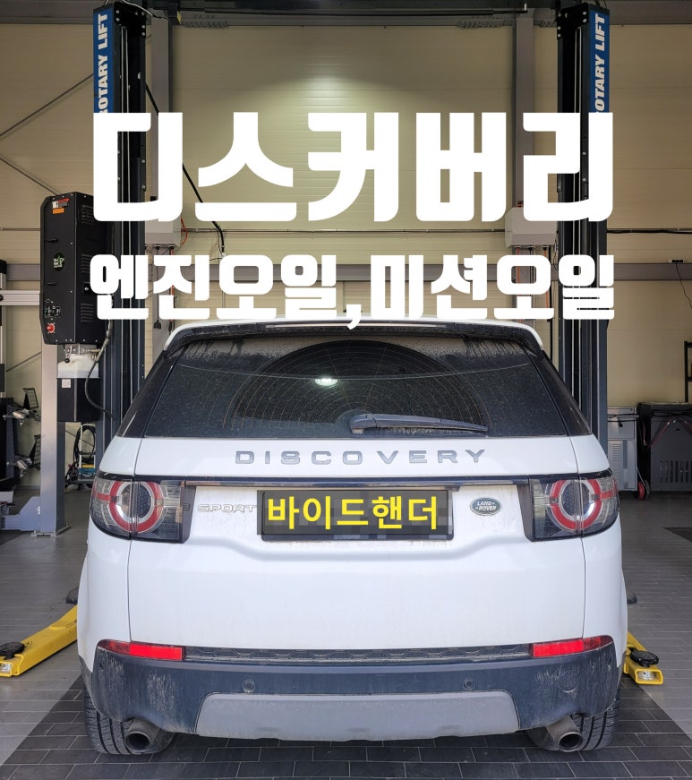 바이드핸더 이미지