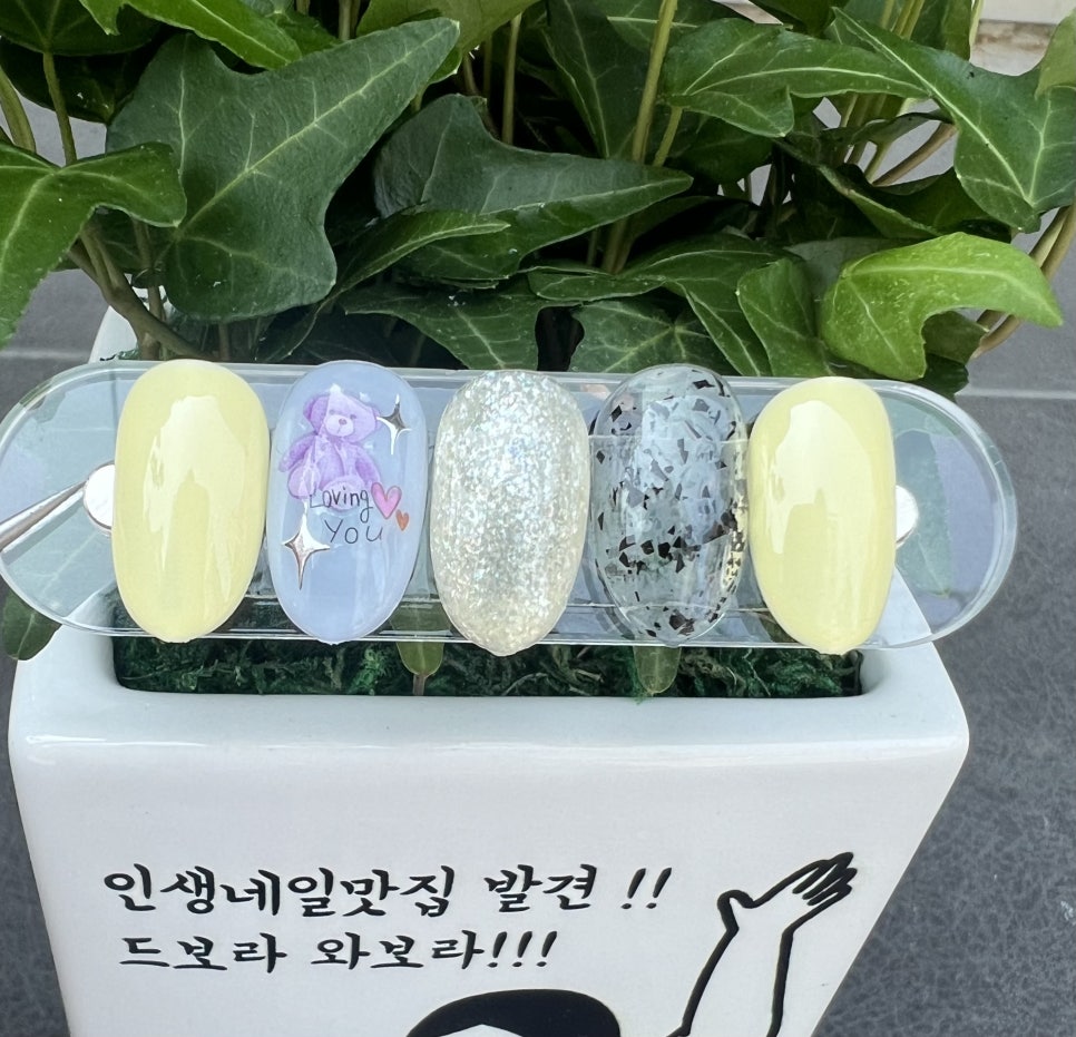 네일드보라 이미지