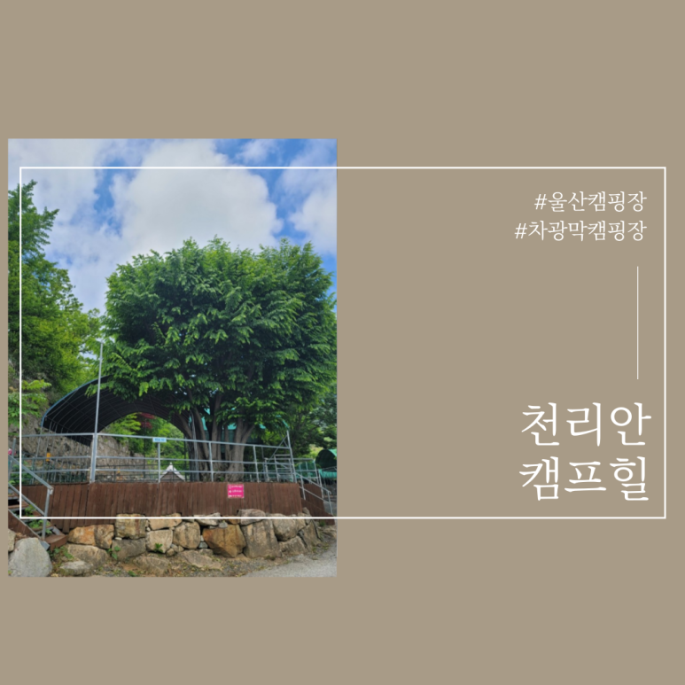 천리안캠프힐 이미지
