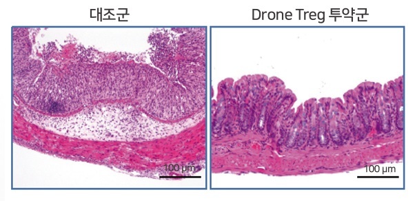 셀이노베이션 이미지