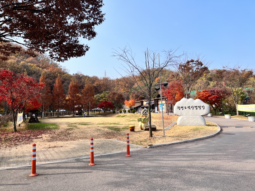 광명 도덕산 캠핑장 이미지