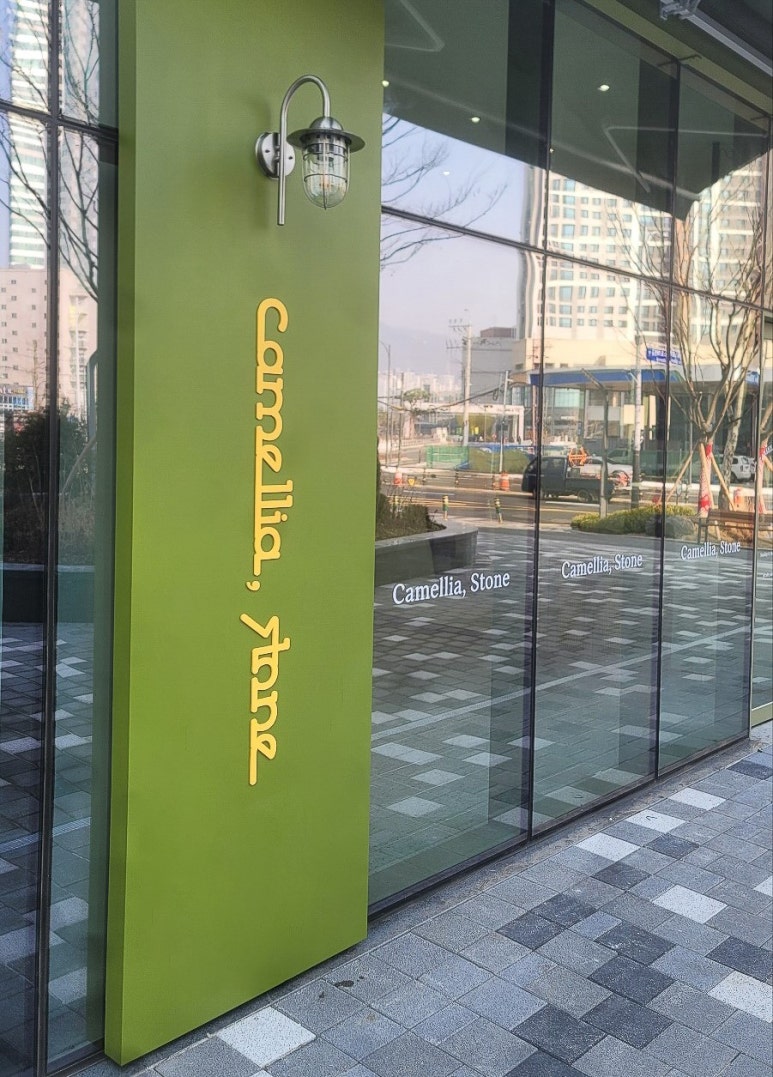 돔박;달 이미지