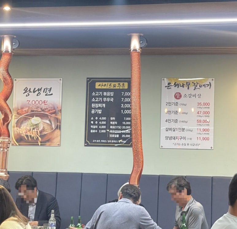 은행나무갈매기 이미지