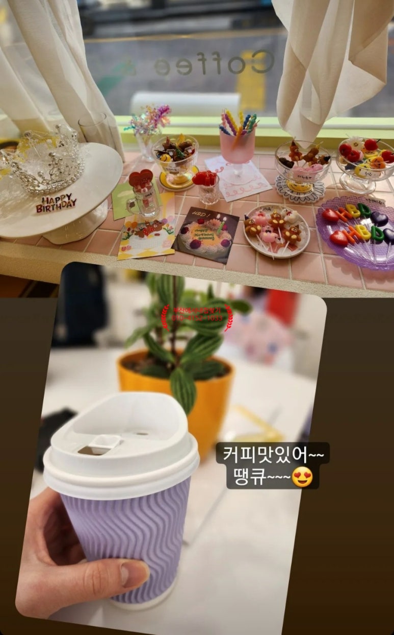 어리틀빈 이미지