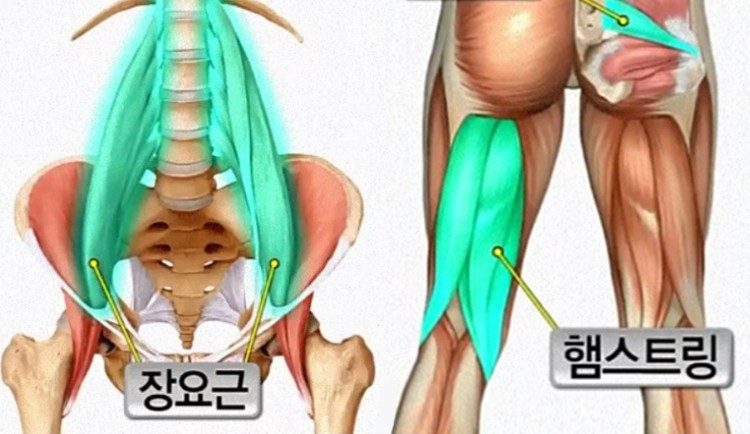 수지피트니스라운지 이미지