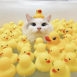 (주)제이오 이미지